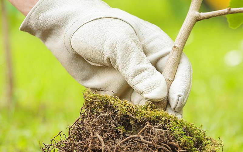 INTREPID LAUNCHES CARBON LABELLING